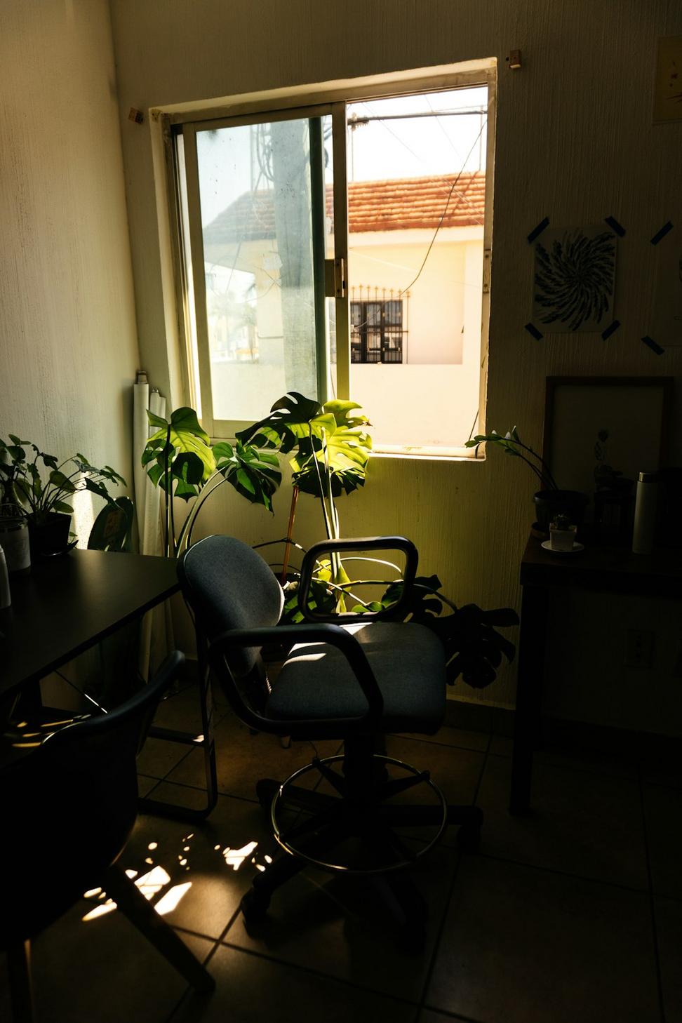 After Renovation