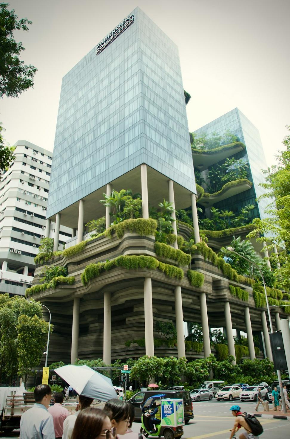 After Renovation