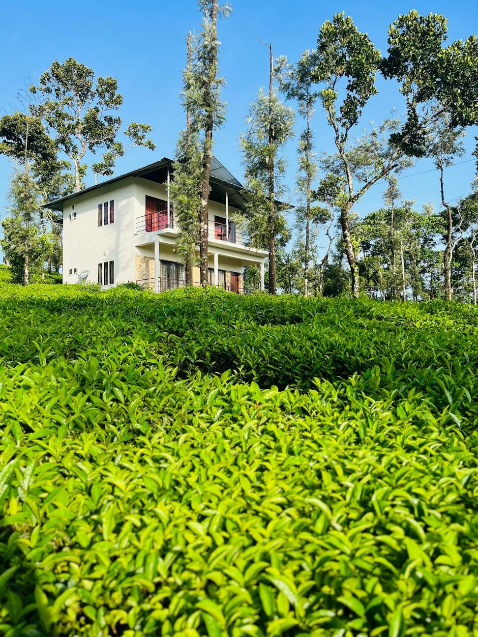 Greenfield Passive House
